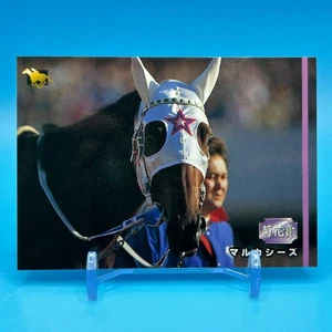 Maruka Thes Thoroughbred Horse Racing TCG Trading Card Retoro Bandai Japan #64 - Picture 1 of 11
