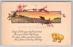 Benedizioni di Pasqua per te, pulcini, scena fattoria, fiori, poesia, cartolina 1919 - Foto 1 di 2