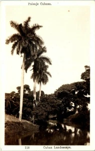 1940er RPPC Echt Foto Postkarte Kubanische Landschaft Paisaje Cubano Palmen - Bild 1 von 2