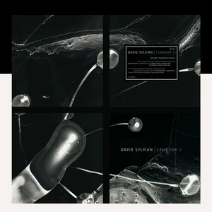 David Sylvian- Camphor II - 2x Translucent White Vinyl- RSD 2025 - Picture 1 of 2