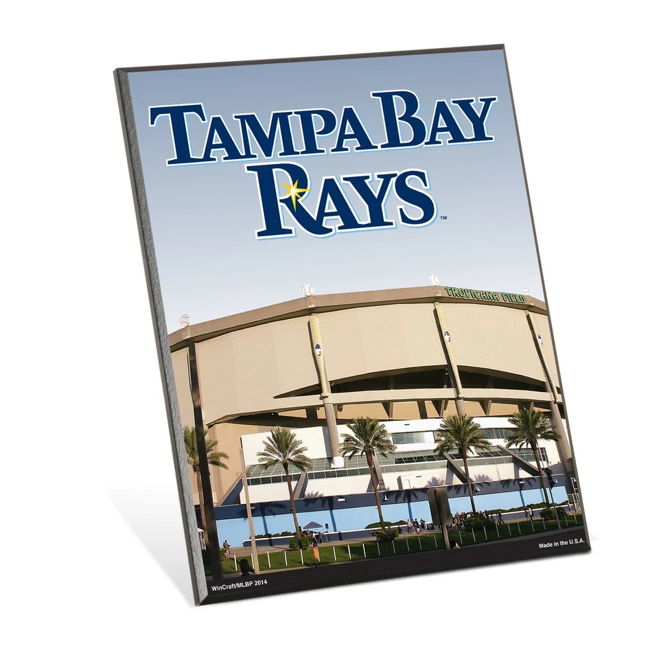 Letrero Tampa Bay Rays madera 8x10 Foto 1 de 1