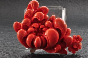 Antica scatola certificato OBIDOME corallo rosso intagliato "crisantemo" (161 carati). - Foto 1 di 14