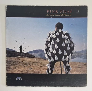 Pink Floyd Delicate Sound Of Thunder SLEEVE ONLY - Picture 1 of 4