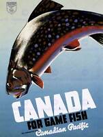 TRAVEL SPORT FISHING ANGLING FISH GAME CANADA CATCH ART PRINT POSTERBB7631B