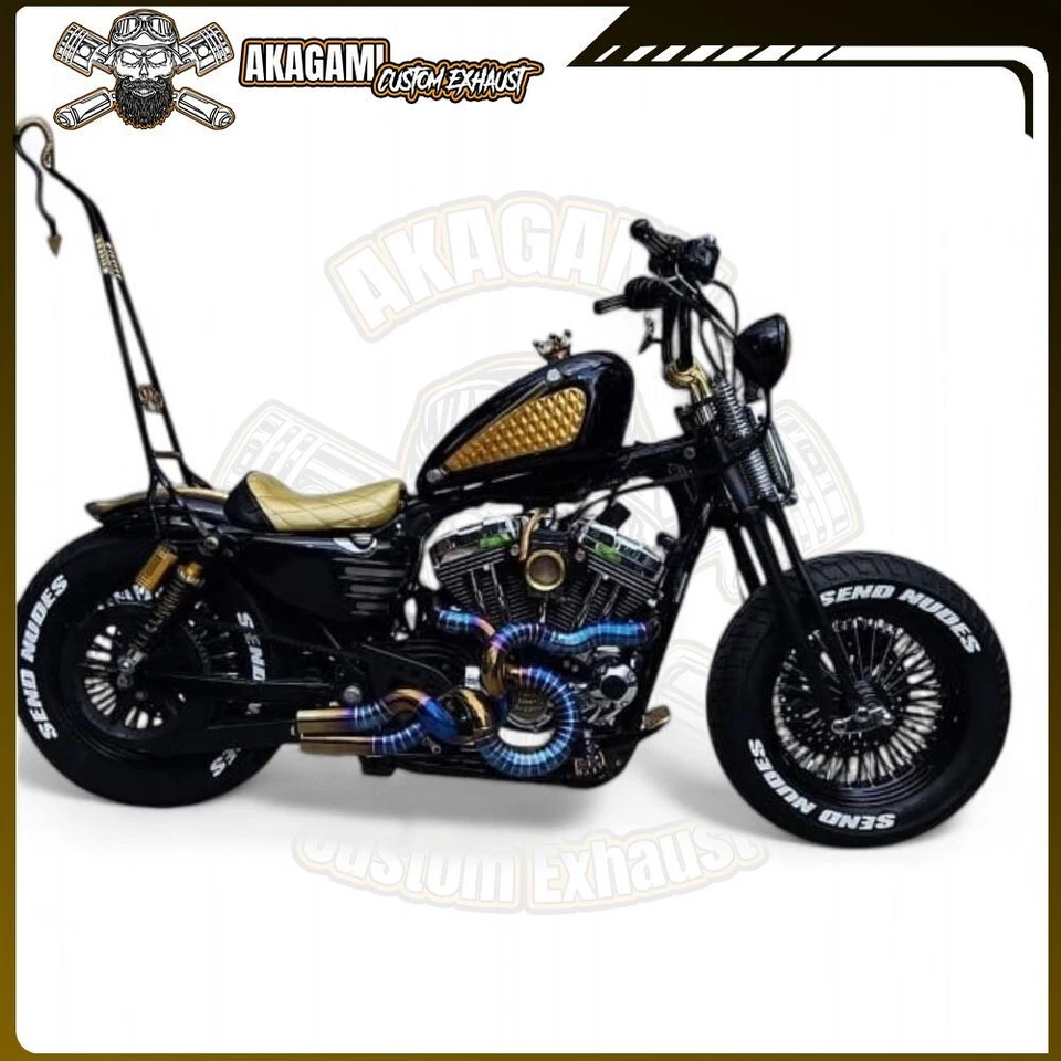 Escape personalizado apto para Harley Davidson Sportster Fourty Eight 2 en 2 solo un tubo Foto 1 de 4