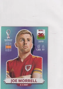 Panini Qatar World Cup Sticker 2022 Wales Numéro Baleine 13 Joe Morrell - Picture 1 of 1