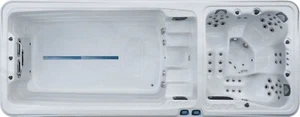 DUAL SWIMSPA LONG ISLAND 2 PALM SPAS 2025 AMERICAN BALBOA SWIM SPA POOL HOT TUB - Picture 1 of 12