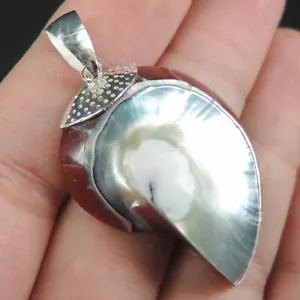 Ciondolo conchiglia Nautilus rosso scuro medio piccolo argento sterling 925 gioielli NSP-298 - Foto 1 di 6