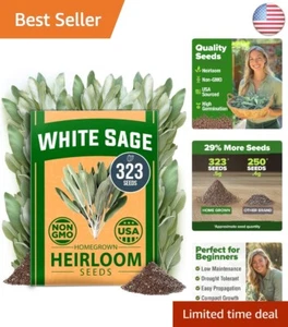 White Sage Seeds 323 Pack - Herbal Essential for Pollinator-Friendly Gardens - Picture 1 of 11