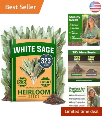 White Sage Seeds 323 Pack - Herbal Essential for Pollinator-Friendly Gardens - Image 1 of 4