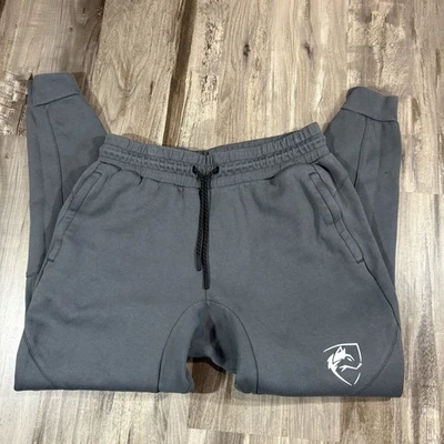 Pantalones de chándal Alphalete Origin para hombre gris polar pierna cónica ajuste atlético talla L Foto 1 de 4
