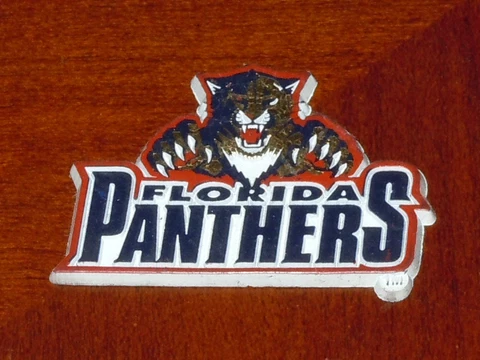 NHL Vintage FLORIDA PANTHERS Old RUBBER Hockey FRIDGE MAGNET Standings Board Cover