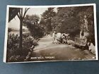 Rock Walk, Torquay, Echtfoto, Vintage Postkarte D47