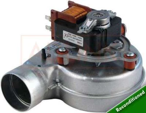 VENTILADOR RADIANT RBA CS 24E 30 Y 100 37016LA VIENE CON 1 AÑO DE GARANTÍA - Imagen 1 de 1