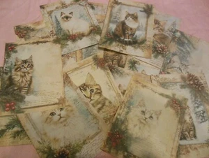 Set of 16 LARGE Kittens Winter/Holiday/Pinecones/Greenery from images - Picture 1 of 5