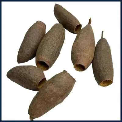 New Natural Aquarium Decor Cichlid Cave Decoration Fish Tank Breeding Housing - Image 1 of 4