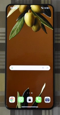 Xiaomi 15 Pro - Immagine 1 di 4