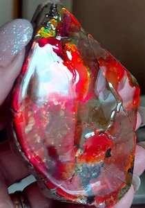 Ammolite Ammonite tabletop Display Piece BRIGHT 85.7x62x15.5mm 16808 - Picture 1 of 5