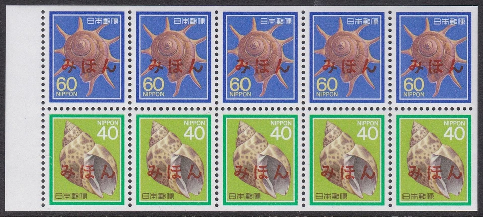 Specimen, Japan Sc1625a Seashell, Rinbo Shell, Ivory Shell - Image 1 of 1