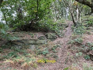 Photo 12x8 One of a myriad of paths on the way to Woolley Edge Trig Point c2021 - Bild 1 von 1