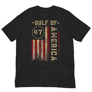 Gulf of USA America Funny USA Flag - Picture 1 of 16