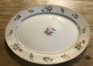 Plato para servir ovalado Syracuse China Selma patrón 12" - Imagen 1 de 4