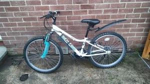 Apollo Vivid 24” Girls’ Mountain Bike Front Suspension 18 Shimano Mudguards - Picture 1 of 9