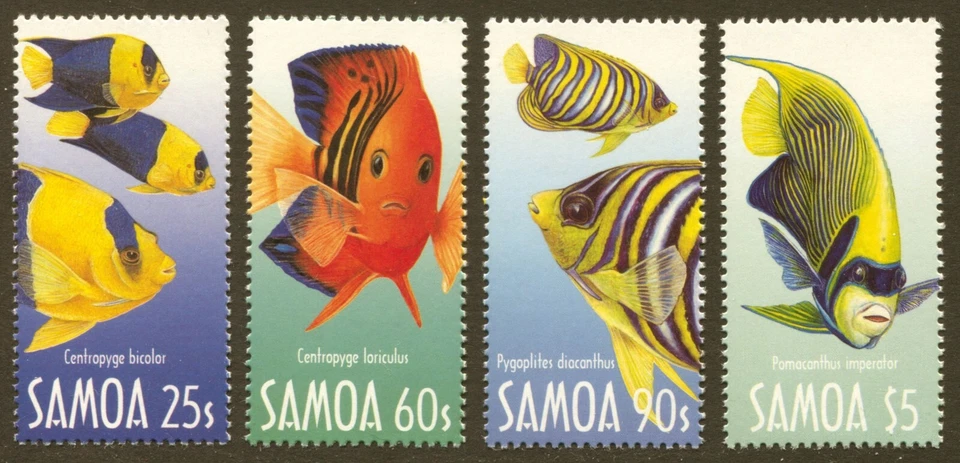 Samoa Scott # 1045-48, 2003 Angelfish Fish conjunto de 4 estampillas, en muy buen estado casi nuevo, SCV: $8,25 Foto 1 de 1