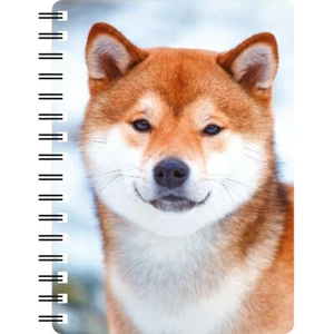 Shiba Inu 3D Notizbuch, toller Weihnachtsstrumpffüller - Bild 1 von 4