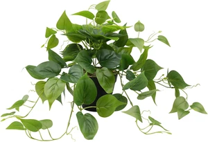 LOYWREE Artificial Plants in Pots, Faux Pothos Indoor Green Realistic Fake Plant - Picture 1 of 12