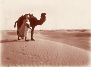 Bédouin et chameau par LENHERT & LANDROCK Tirage argentique circa 1905 - Imagen 1 de 3