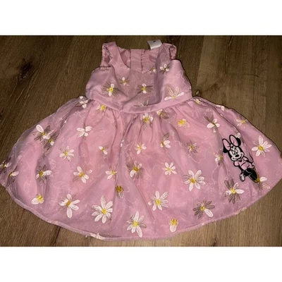 Disney Minnie Mouse Dress Pink Floral Embroidered Girls Size 2T Cute - Image 1 of 4