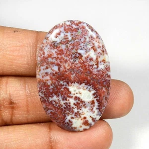 AAA+ Red Hungarian Agate Cabochon Oval Shape Loose Natural Gemstone 51 Cts #8494 - Picture 1 of 8