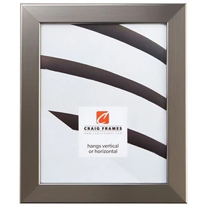 Marco de foto Craig Frames Bauhaus, 1,25 pulgadas de ancho moderno de plata inoxidable - Imagen 1 de 12