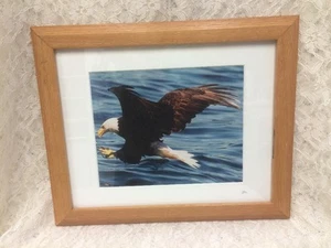 "Adler über Wasser" signiert JAC 8" x 10" mattiertes Foto auf 16" x 13,5" Eichenrahmen - Bild 1 von 6