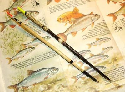 DUE GALLEGGIANTI IBRIDI INGLESI CANNE E PORCOSPINO - Immagine 1 di 4