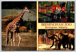 Postal jirafas, elefantes y trenes en el zoológico de Birmingham Alabama - Imagen 1 de 2
