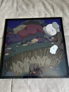 Snoop Doggy Dogg DoggyStyle by KAWS Gallery Picture LP VINYL Limited Edition NEW - Picture 1 of 4
