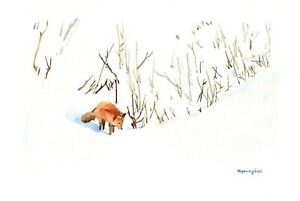 Red fox in snow, 5 x 7 inches Art print of original watercolor painting by Anna 
