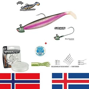 28 cm Fox Rage NSL -670 + 10/0er OWNER Jig Haken ca. 200 g + 300m Spiderwire - Bild 1 von 1