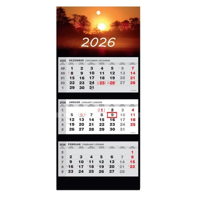 Kalender 2026 Wandkalender 3-Monats-Kalender Wandplaner Dreimonatskalender ⭐⭐⭐⭐⭐ - Bild 1 von 4