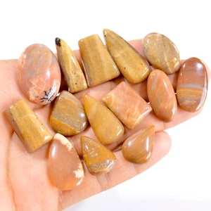 Lote de 14 piedras preciosas cabujón jaspe imagen natural de 307 quilates 22x15-32x22 mm #2843 - Imagen 1 de 4