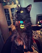 Ninja Cat Collar Charm Reflective Glow in the Dark Tag Accessory Visibilty