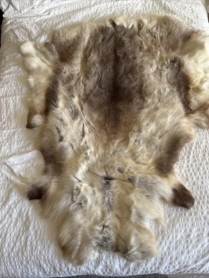 Reindeer Rug Throw Genuine Pelt Hide Fur 40" x 51” Approx Cabin Den Decor - Image 1 of 4