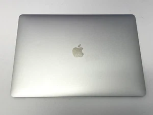 Conjunto de pantalla LCD plateado original Apple Macbook Pro 15" A1990 2018 2019 - B - Imagen 1 de 6