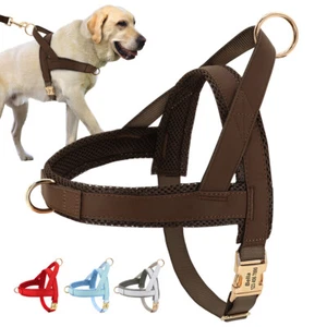 Nylon No Pull Dog Harness Front Clip Pet Puppy Large Vest with Personalized Name - Picture 1 of 23