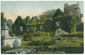 Muckross Abbey Killarney National Park County Kerry Irlanda convento franciscano - Imagen 1 de 2