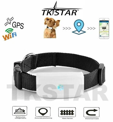 TKSTAR TK911 mini GPS Tracker Ortung Peilsender Hund Katze Tier mit Halsband - Bild 1 von 4