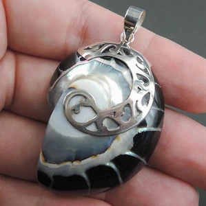 Black Nautilus Shell 925 Sterling Silver Pendant Jewellery, Medium, BN03-M - Picture 1 of 7