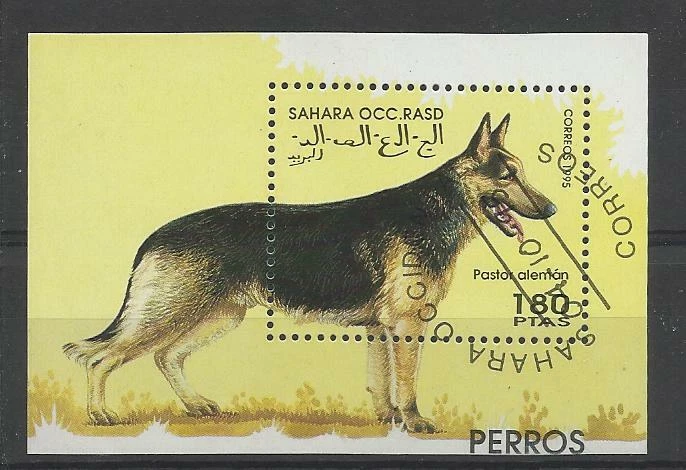  chien dog hund perro Bloc Feuillet oblitéré 65 Sahara - Photo 1/1